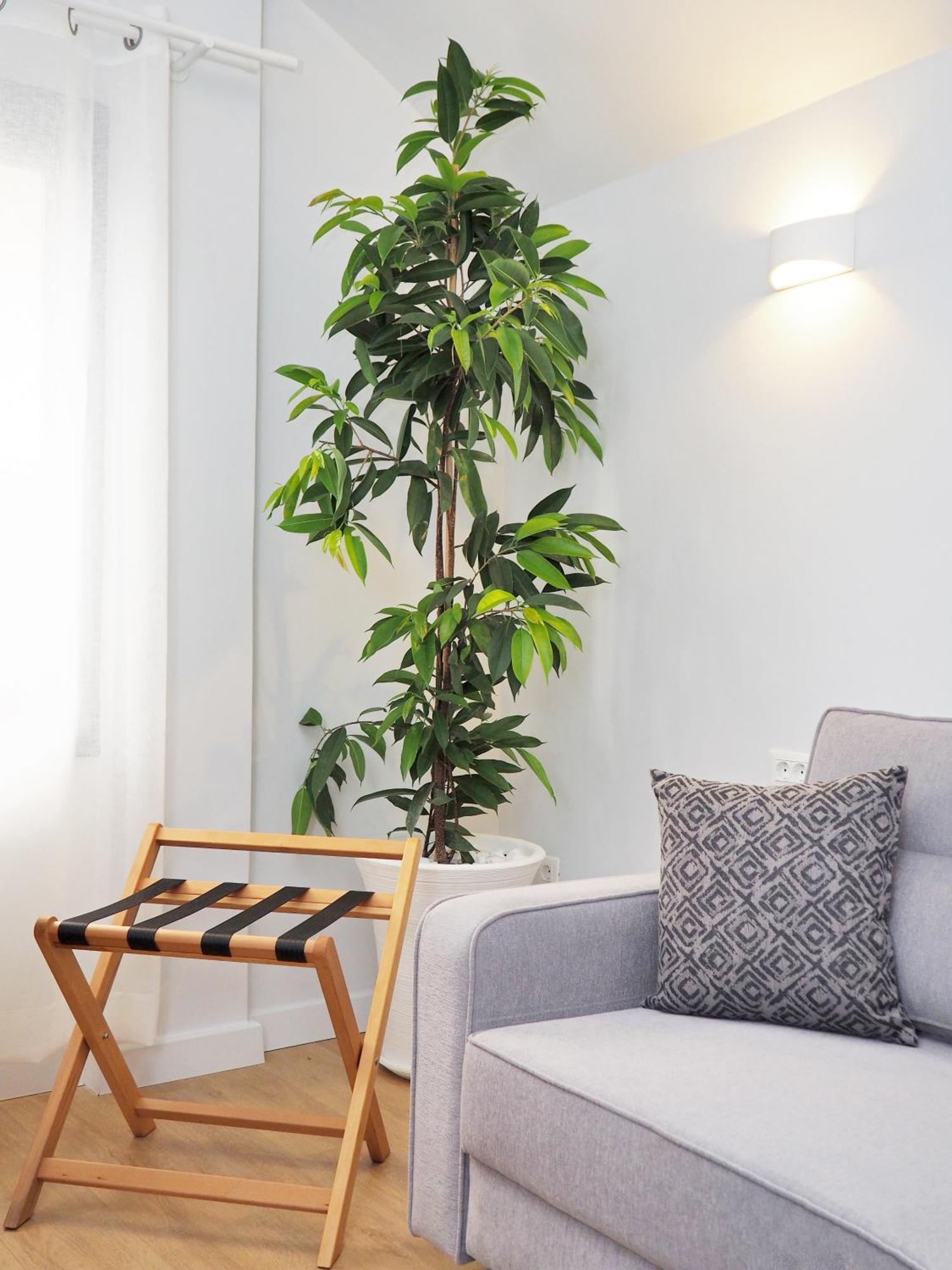 Times Elegant Rooms Ermoupoli Luaran gambar